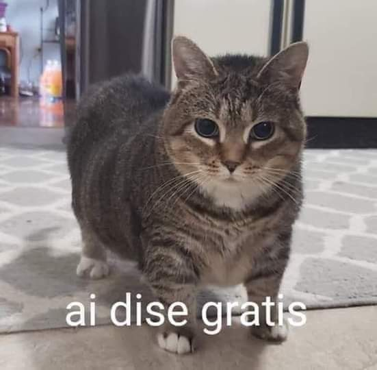 FxFisxCXoAMB09Y.png