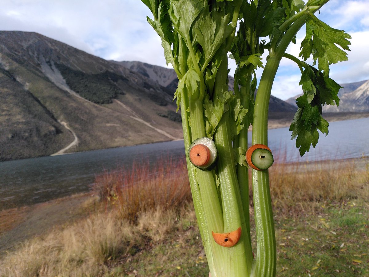 madamezucchini's tweet photo. I'm in New Zealand with Sir Edmund Celery celebrating the 70th anniversary of summiting Everest 🥒🥬🥕

#funwithvegetables #Everest70 #everest #edmundhillary #adventure https://t.co/bno8jHN47N