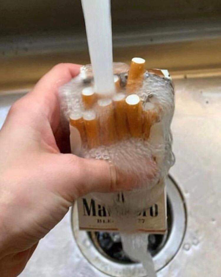 🚨 IMPORTANTE 🚨

Lavar tus cigarrillos antes de fumar puede disminuir las probabilidades de desarrollar cáncer de boca y pulmones en un 90%.