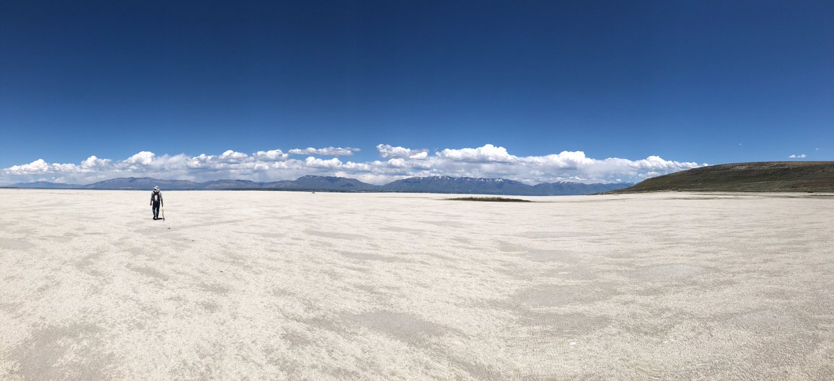 Rachel So tweet media