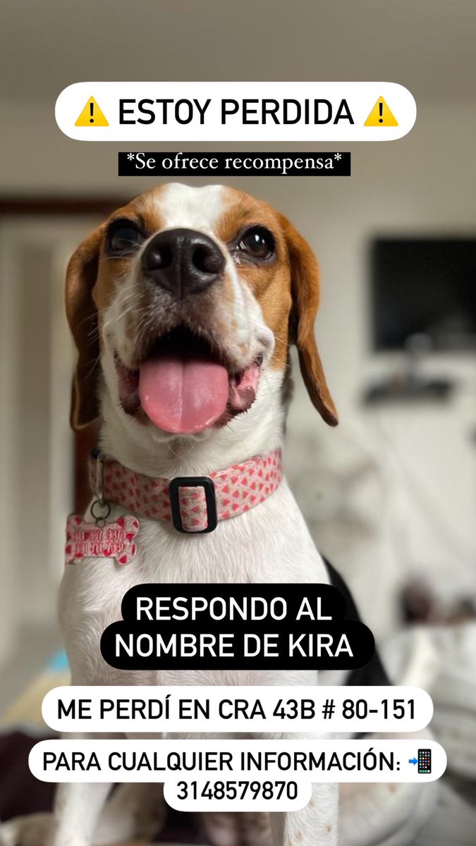 Vasanchez_h's tweet photo. Ayúdenme para que vuelva a casa con su familia 🥺❤️ 

#Barranquilla https://t.co/Mwg39Vm0bU