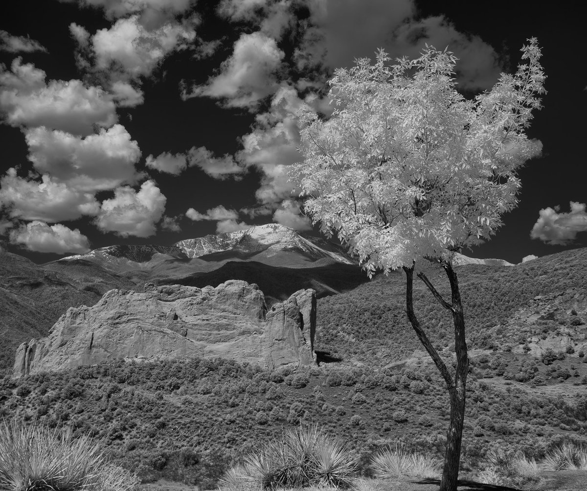 An infrared photo from this afternoon in Colorado Springs, Colorado.