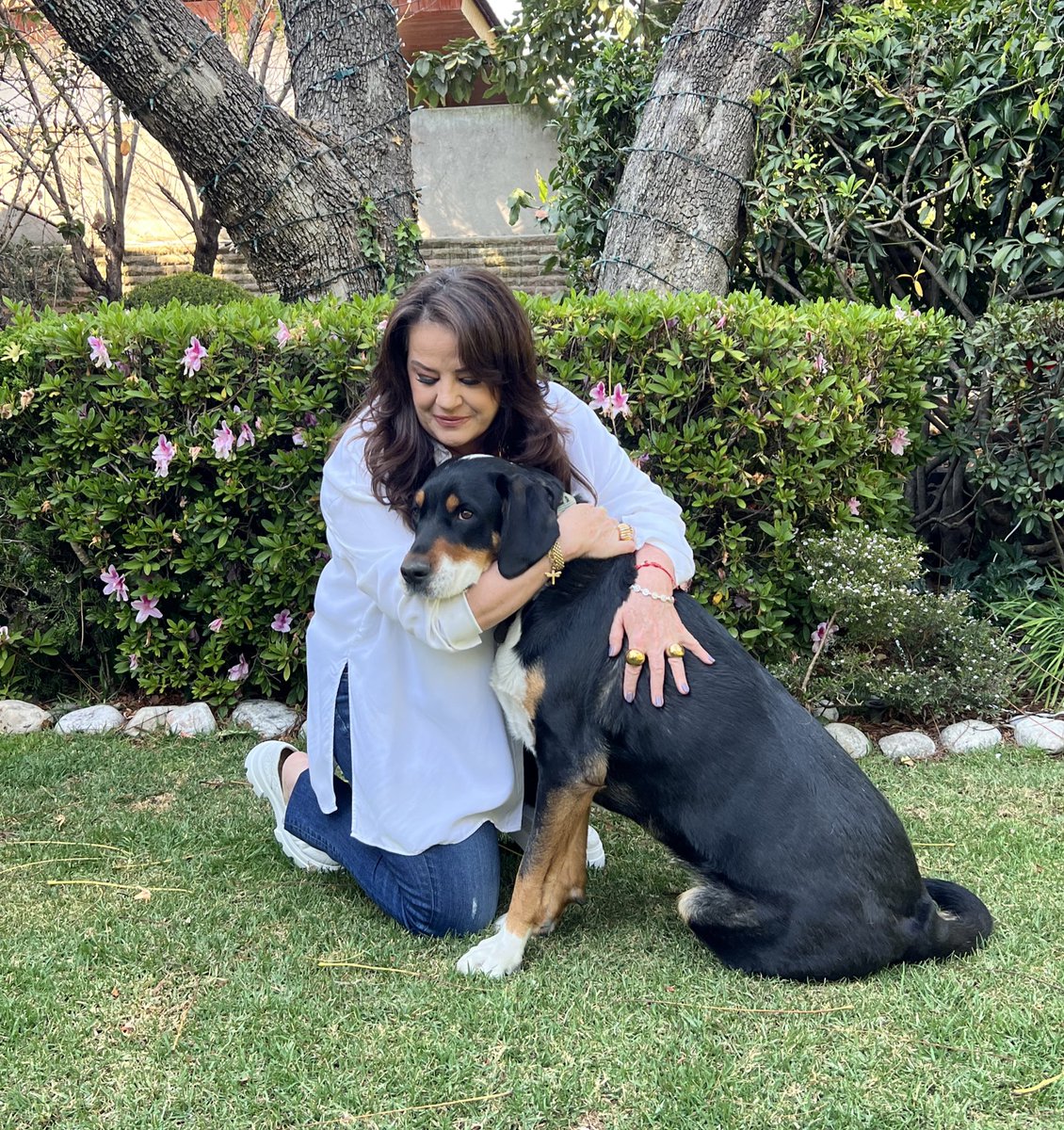 Isabellascurain's tweet photo. ¡Qué creen! Mi Layla hermosa está de cumpleaños ☺️🐾 https://t.co/8S68yCXDRA