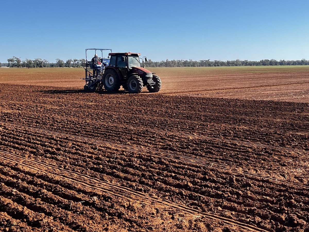 JoshDriver9's tweet photo. Sowing season coming to a close for both trials and commercial, it’s been a challenging year so far but here’s to the next chapter of the year! https://t.co/5c5nhplfCB