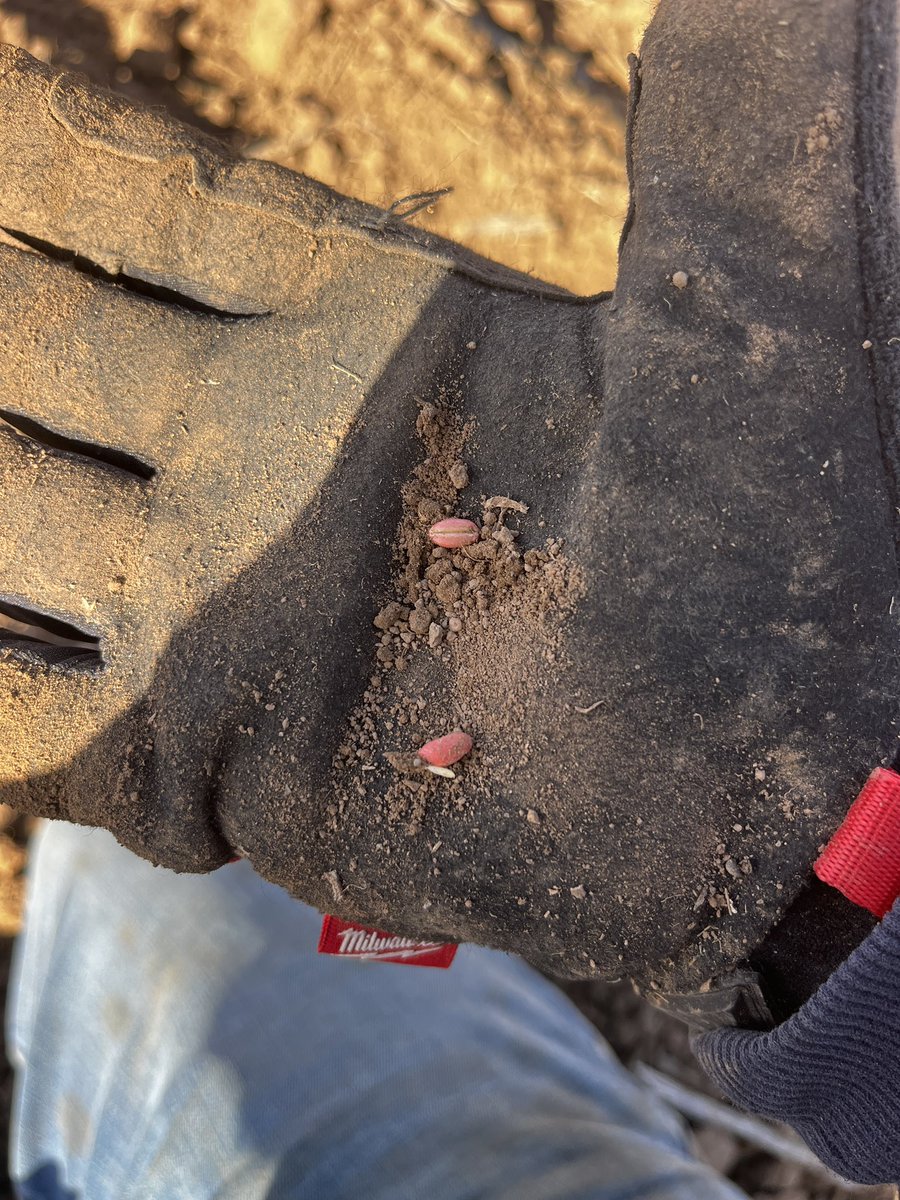 JoshDriver9's tweet photo. Sowing season coming to a close for both trials and commercial, it’s been a challenging year so far but here’s to the next chapter of the year! https://t.co/5c5nhplfCB