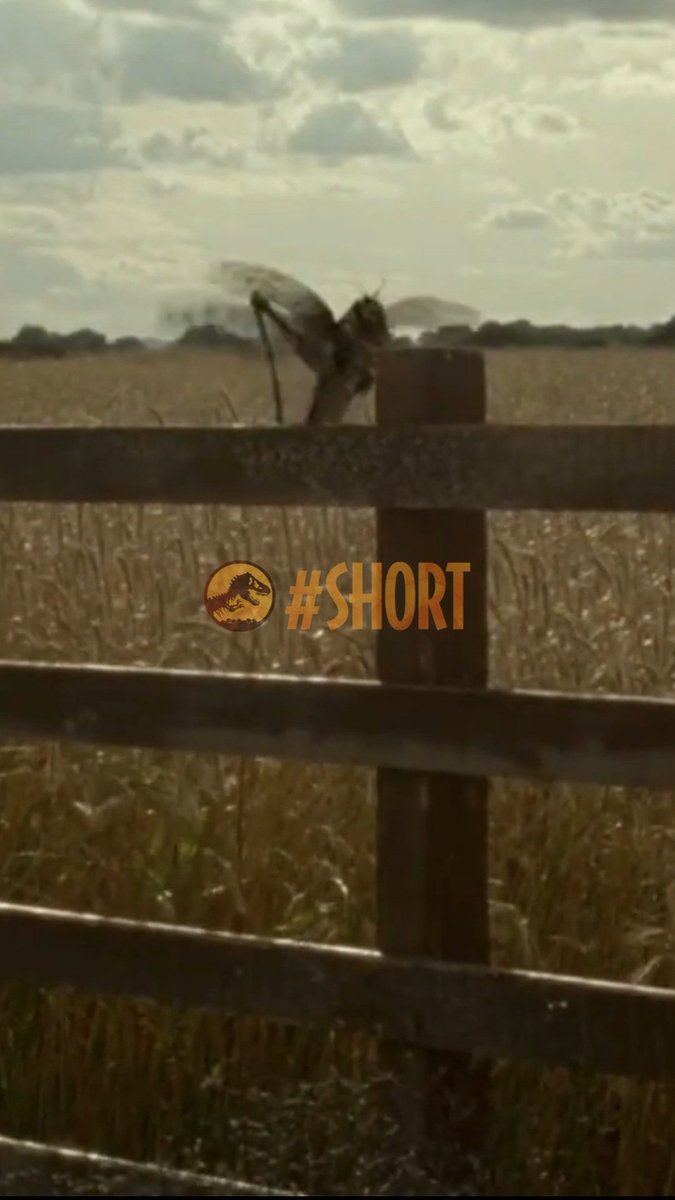 NuevaEraJW's tweet photo. Langostas HÍBRIDAS de #BioSyn #JurassicPark #JurassicWorld #JurassicWorldDominion #Shorts
https://t.co/5fEFaoWC7h https://t.co/WAhlhM7q0u