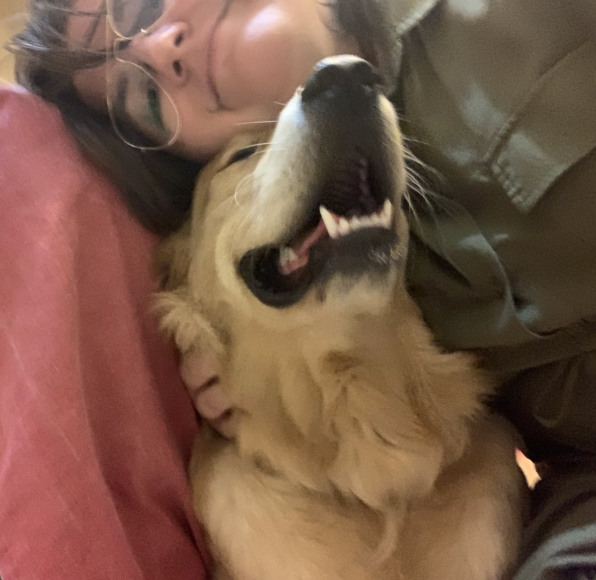 LANClLL8's tweet image. 🔱