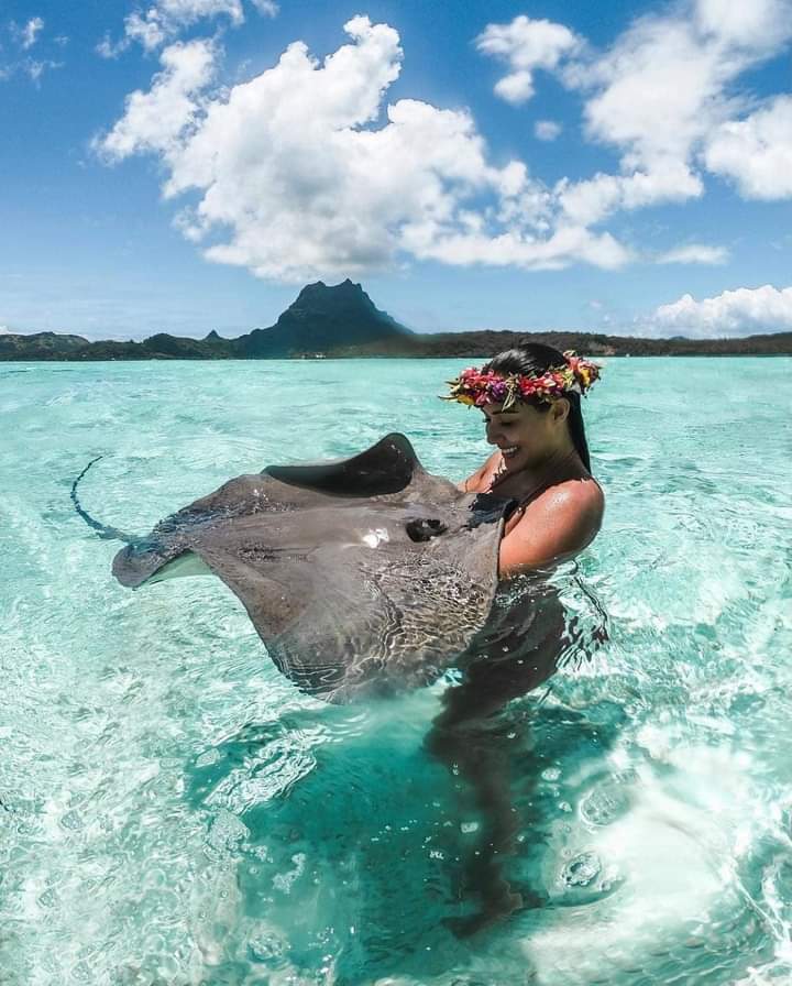 Bora Bora, French Polynesia💙