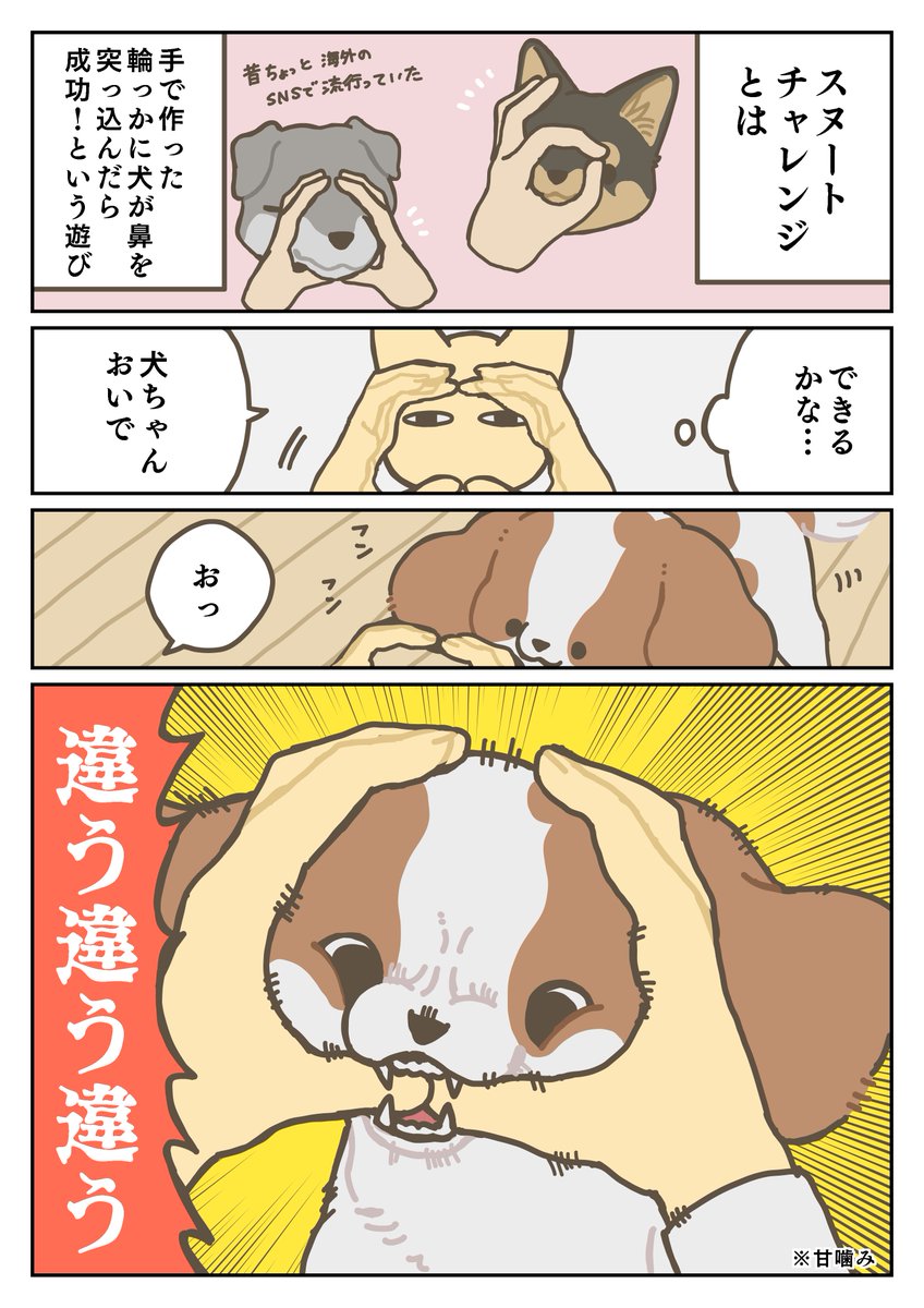 犬日記 ルール教えてない飼い主のせい