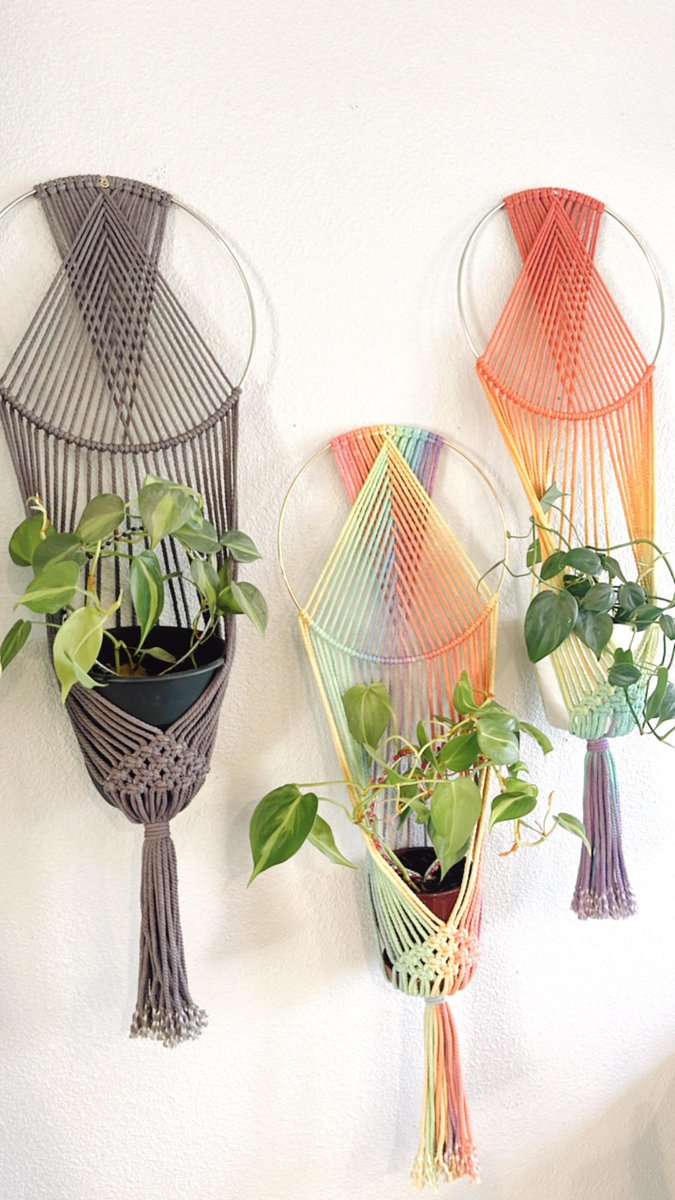 Some of my Hand-dyed plant hangers!! What one do you like best???
 
#IndoorGarden
 
allforgardening.com/489021/some-of…