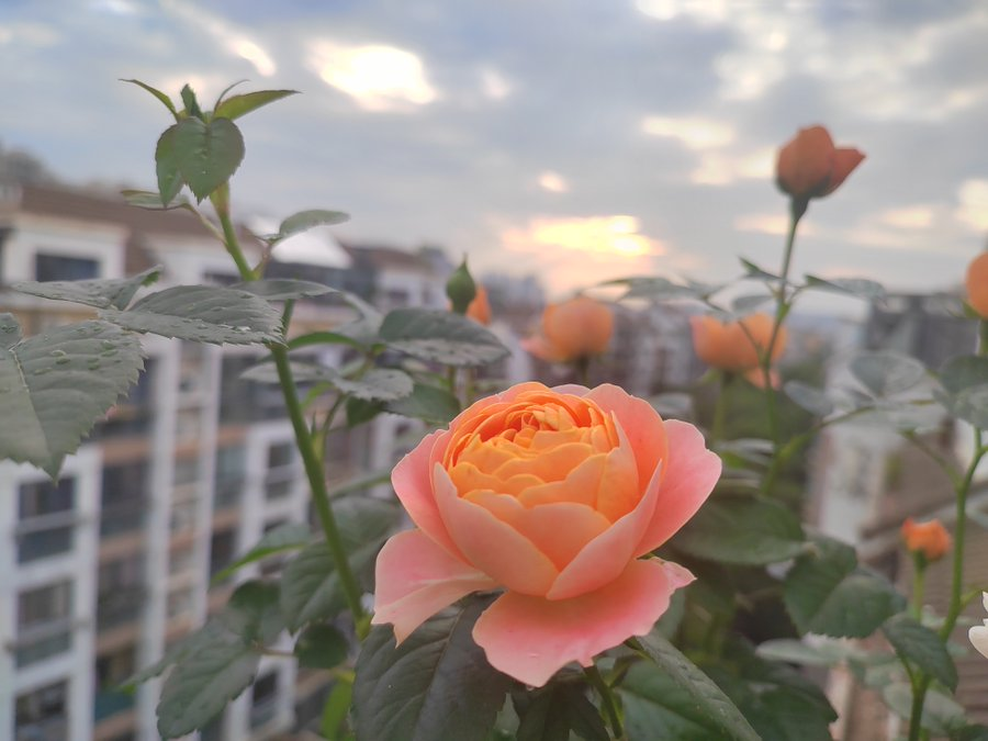 xh28826's tweet photo. https://t.co/mSWCBGK4rh