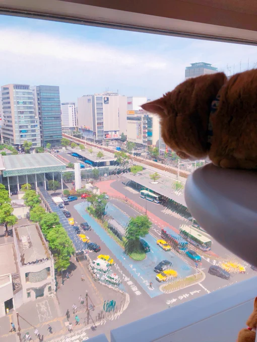 #カワスイ #Catit