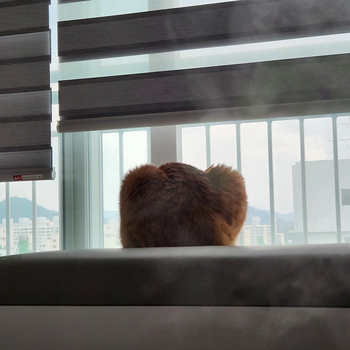 ぴぴたま🍳 tweet media