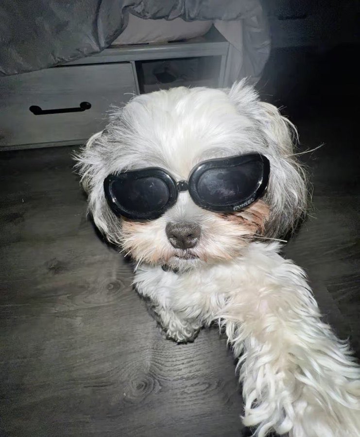 starloopz's tweet image. unpinning at 88lbs/40kgs 🔆