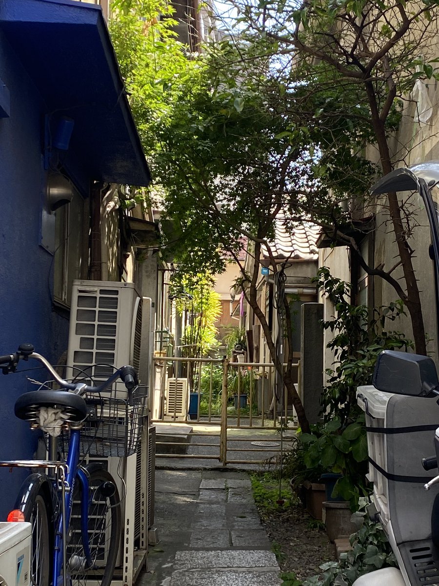 昭和な門扉
いいね、初夏っぽくて https://t.co/TZWEYpEgHR