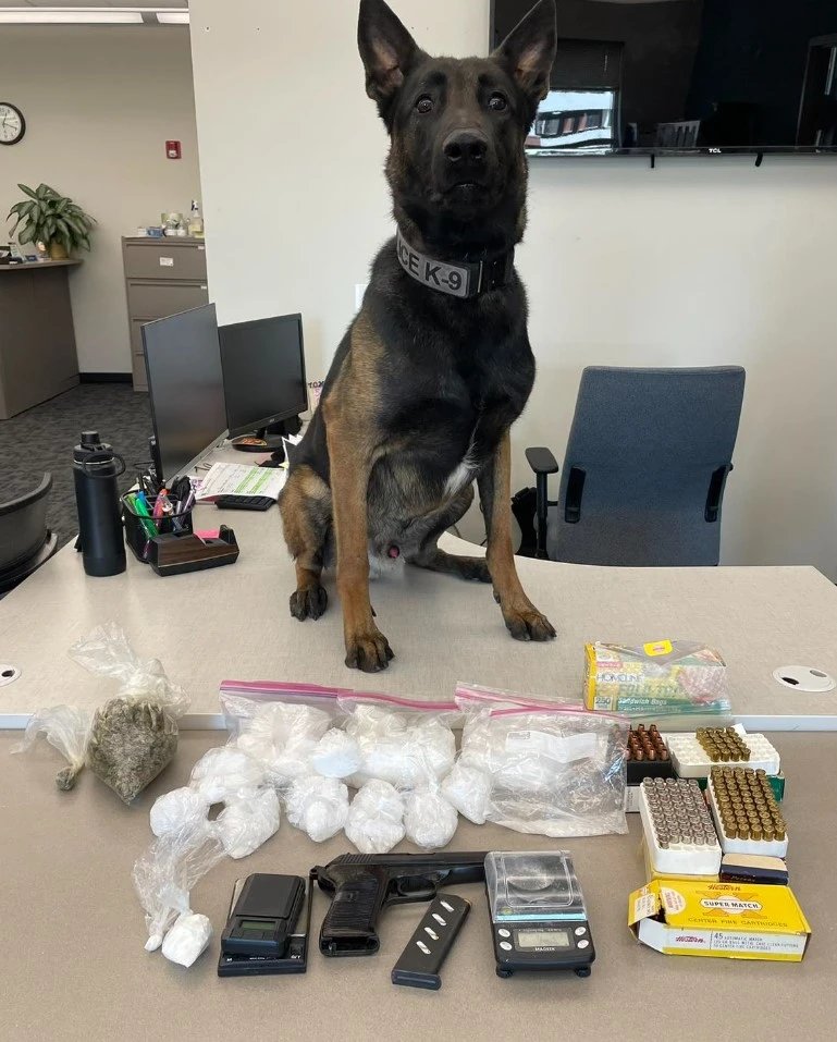 Moline K9 helps with arrest of suspect with meth, cocaine 👊'You can't outrun the long nose of the law' Great gob, Riggs. Missing some cash for donuts ourquadcities.com/news/crime/mol… #ThinBlueLine #K9 #dog #police #WaronDrugs #dogsoftwitter #OPLive #OnPatrolLive