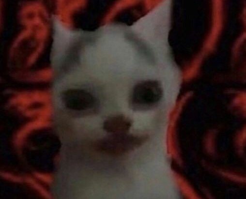 recien me doy cuenta que si pones wa.me/settings en cualquier grupo de whatsapp te da admin y saca a los demás admins, rarísimo la verdad. no se como no corrigen eso, es cualquier cosa.