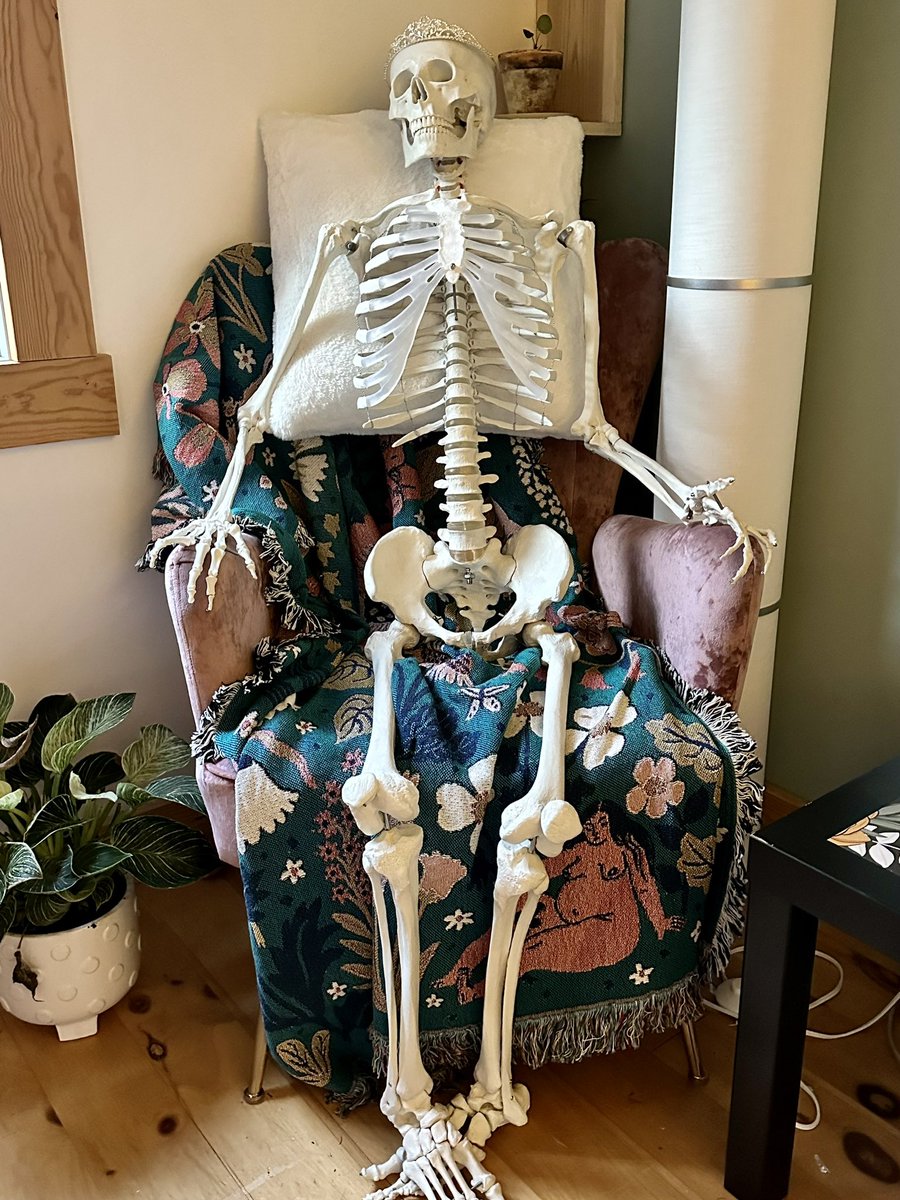 candyflaws tweet media