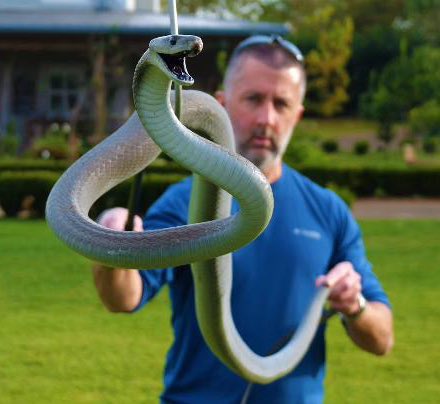 Josh Ruffell tweet media