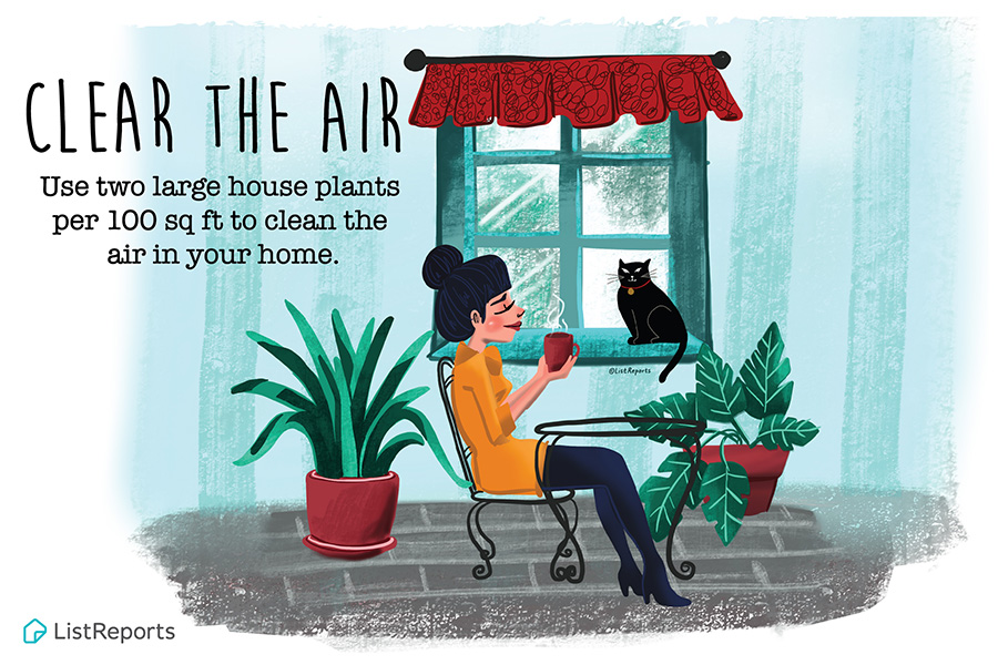daelyn's tweet photo. Did you know plants clean the air? Three good-sized plants will work wonders for an average living room. #hometips #iloveplants https://t.co/cAiuSvWK4z