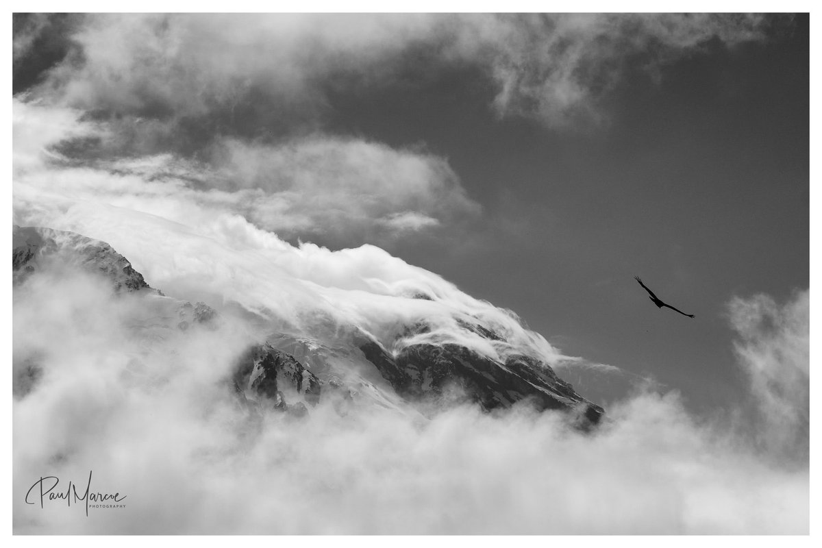 Paul Marcoe | PNW Photographer tweet media