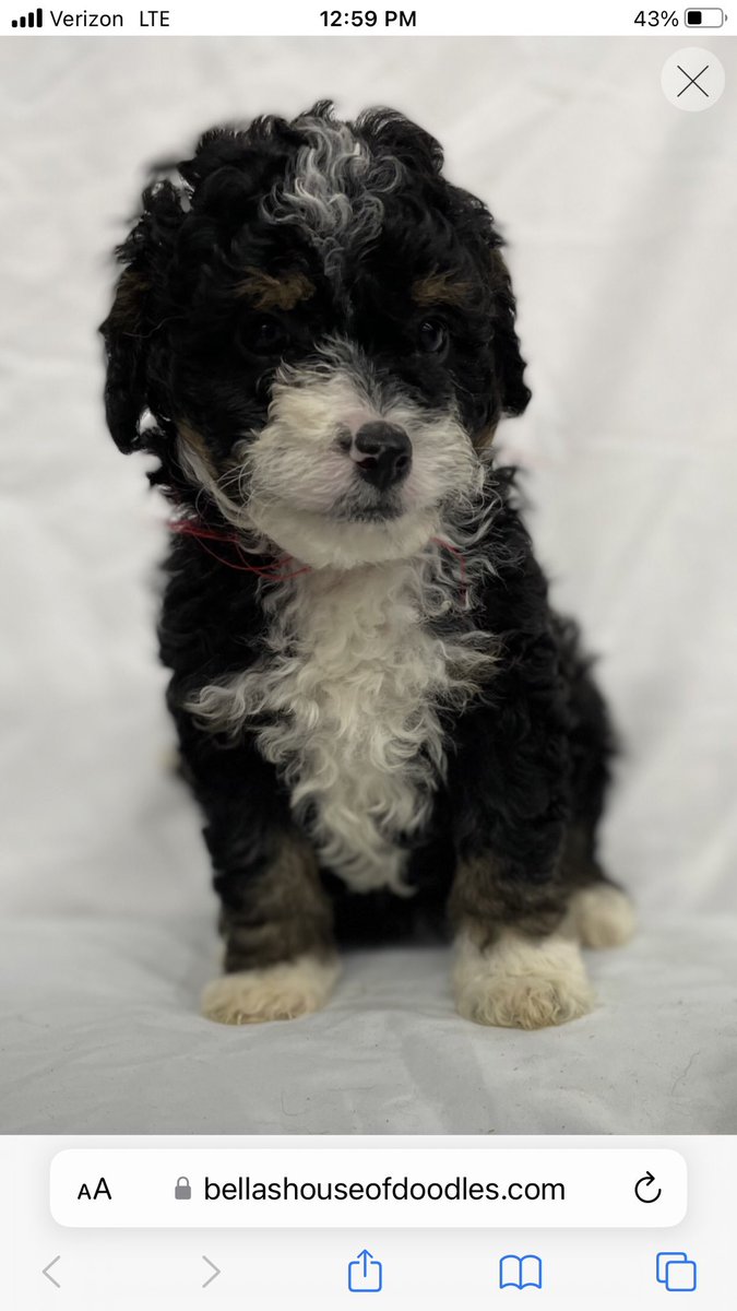 This little one joins the family tomorrow.