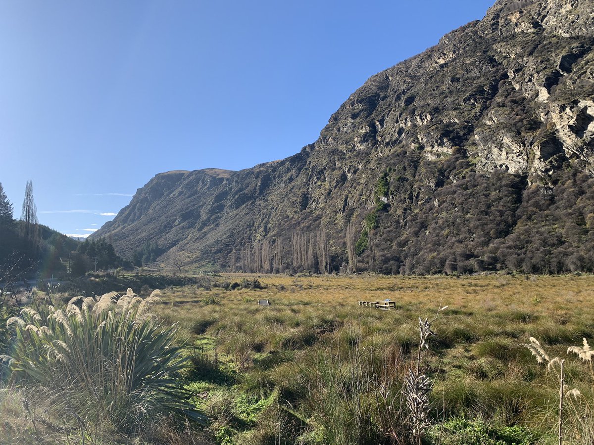 luzlaborde's tweet photo. Saliendo a descubrir el nuevo barrio, caminar 10 minutos y encontrarte senderos para caminar entre la naturaleza y lo urbano. No deja de asombrarme. #queenstown #nz https://t.co/27XxU1w8BS