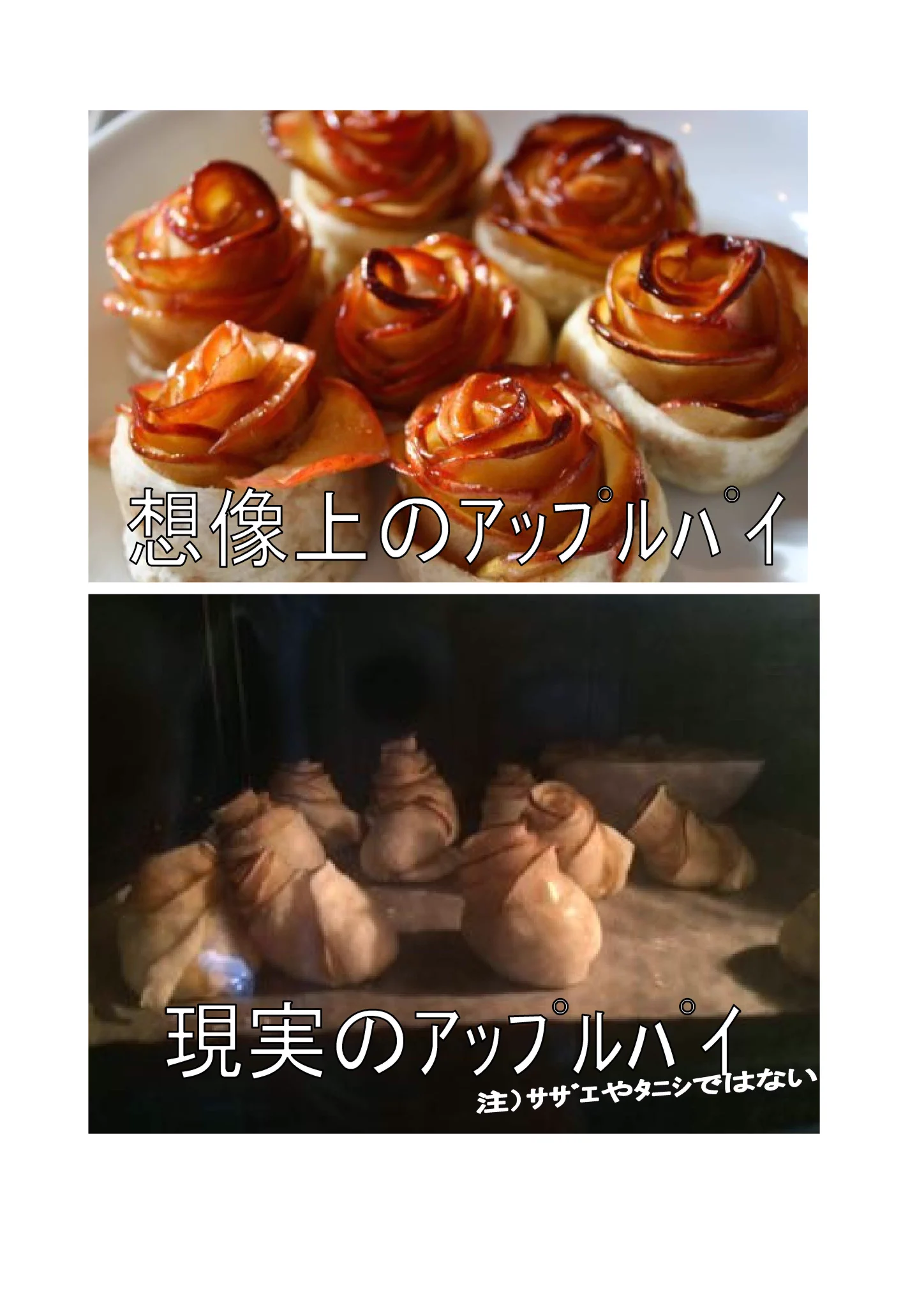 @manimanibleble こんにちは。
薔薇ップルパイがタニシになりました。
よろしくお願いします。 
