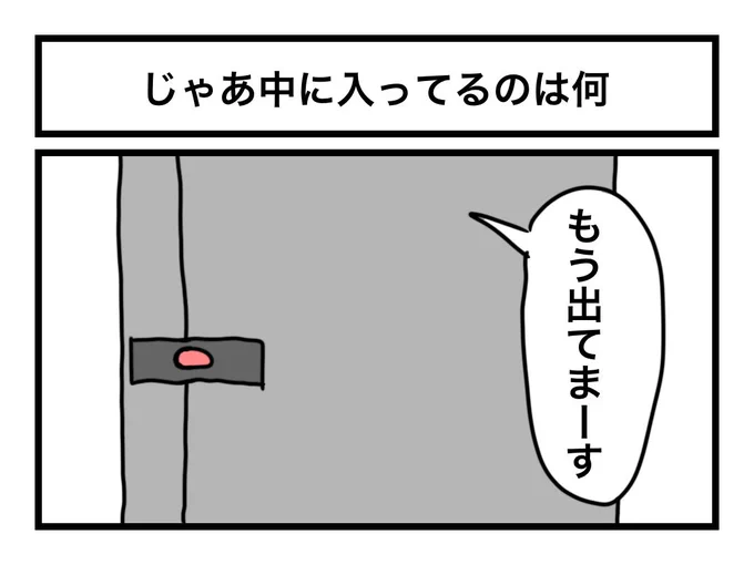 「じゃあ中に入ってるのは何」