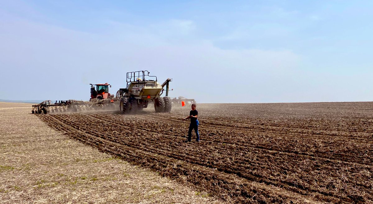 MD canola trials are in at Crestwynd &amp; Big Beaver, SK, all thanks to our awesome cooperators!🌱🚜 Excited to watch these <a href="/DEKALB_Canada/">DEKALB Canada</a> varieties grow this season! #plant23