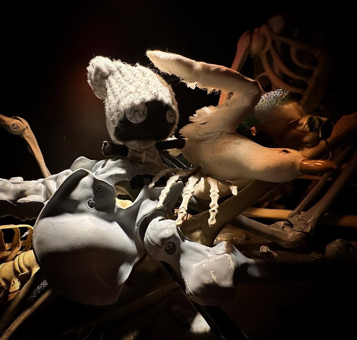 starlapoppet's tweet photo. Hitched a ride up to Port Townsend and stopped in Olympia @the_crypt_olympia, hung with the birds and skulls, and caught a set by @thepinehearts. Totally random night of fun!
#plaguepoppets #celestialcharm 💀💀💀 https://t.co/cS9QgIItvq