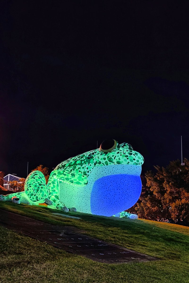 EvolRosh's tweet photo. Pleasant surprise at Vivid Sydney last night πΈ
#corroboreefrog #americanspadefoot #vividsydney2023 #ozherp https://t.co/8wq4nEFogD