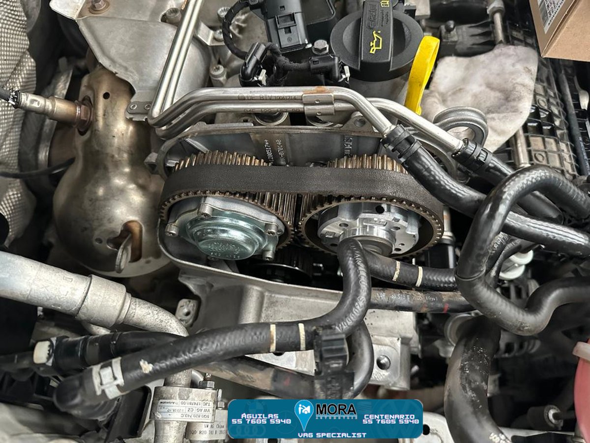 MoraAutomotriz's tweet photo. Llegó este super felino un #Seat León con vibraciones y perdida de potencia se diagnosticó y se encontró el problema teniendo que cambiar la distribución. Este es un procedimiento complejo que requiere habilidad y experiencia. ¡Somos Especialistas! https://t.co/xxNP8WxJKc
