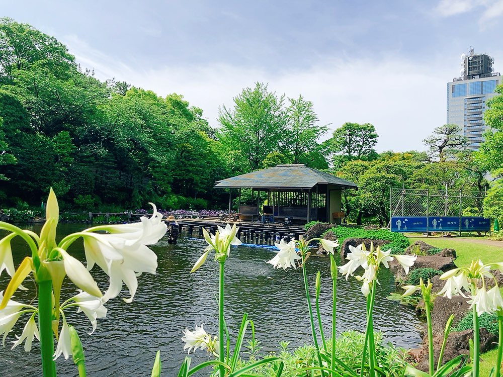 駿府城公園おさんぽ https://t.co/ffrm4Kpm2B