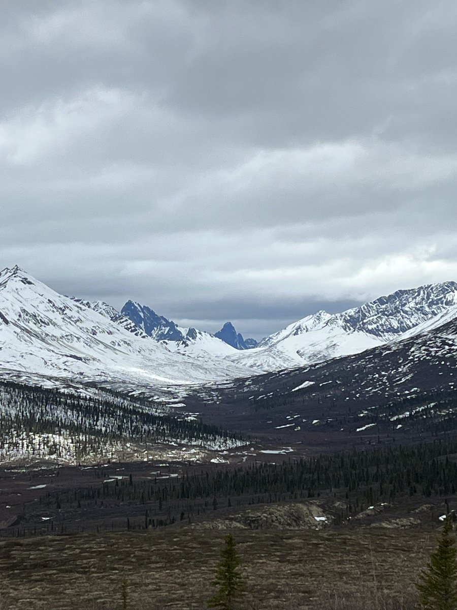 Sean Carey (@mac_watershed) on Twitter photo Fieldwork begins at <a href="/TombstoneWaters/">Tombstone Waters Observatory</a> and always the need to assess winter damage, etc. The Dempster highway is a bit ‘scruffy’ to be kind - along with some of our instruments as always. Lots to figure out water wise way up here. Fieldwork begins at <a href="/TombstoneWaters/">Tombstone Waters Observatory</a> and always the need to assess winter damage, etc. The Dempster highway is a bit ‘scruffy’ to be kind - along with some of our instruments as always. Lots to figure out water wise way up here.
