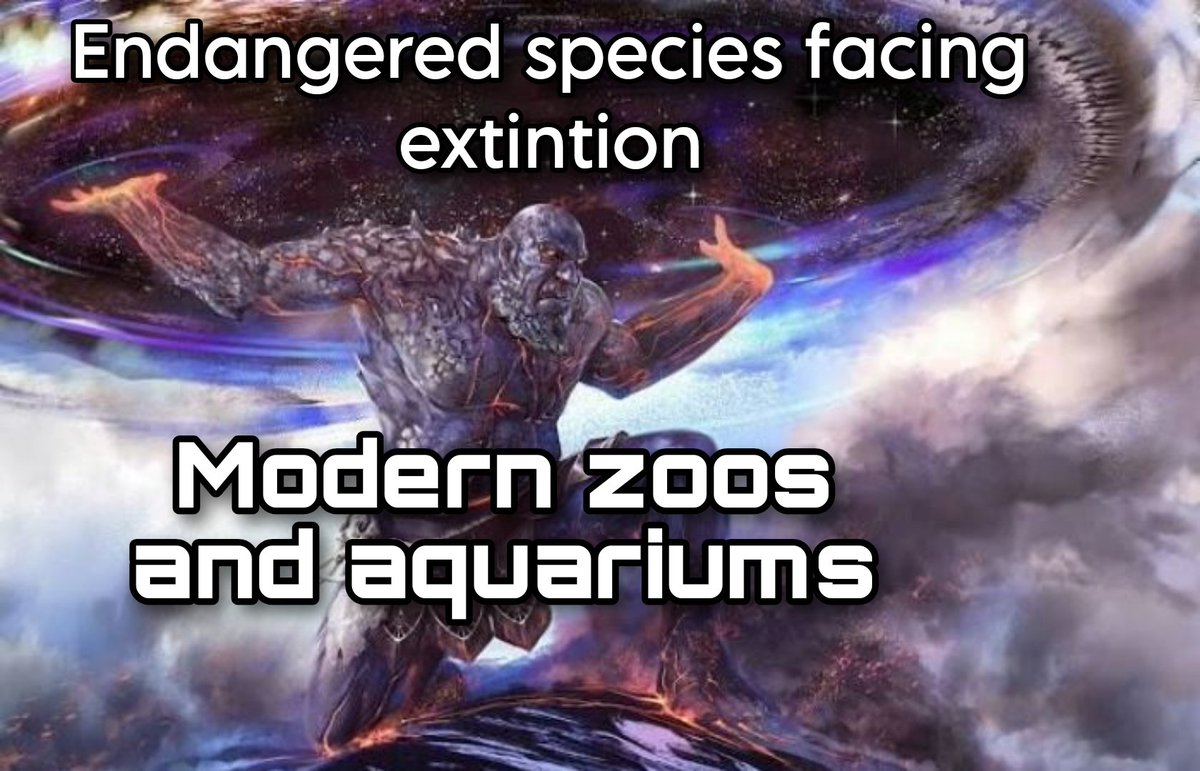 Based Zoology Takes (@BasedZoology) on Twitter photo 2023-05-27 01:18:02
