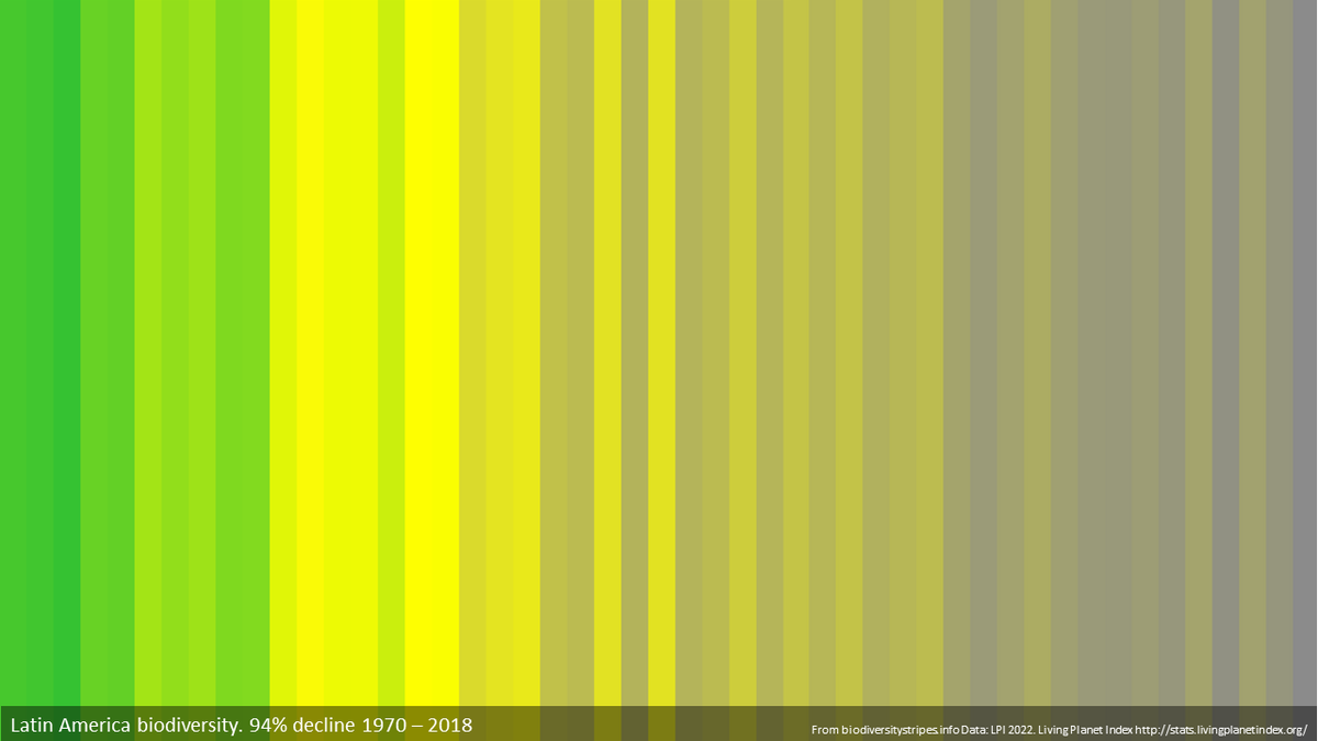 En América Latina, la abundancia poblacional promedio de vida silvestre ha disminuido 69% entre 1970 y 2018.