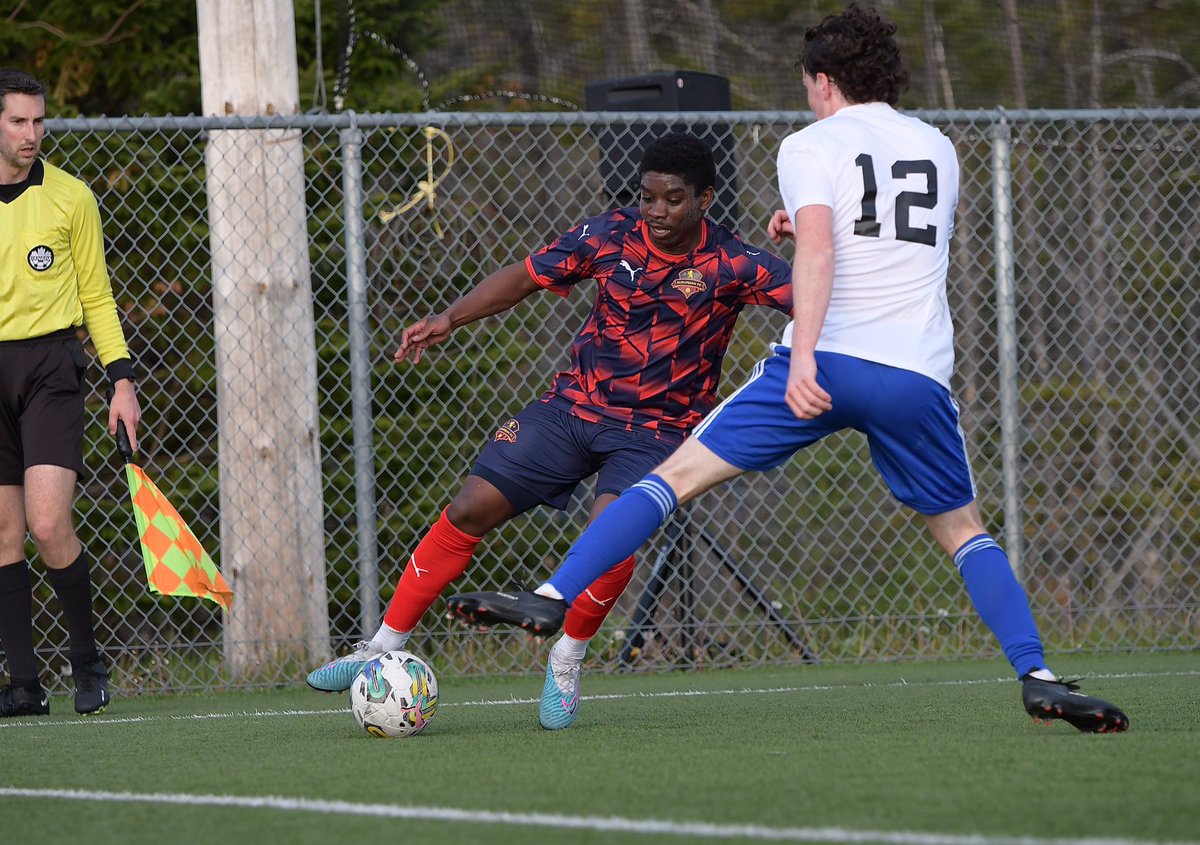 DW Photo tweet media