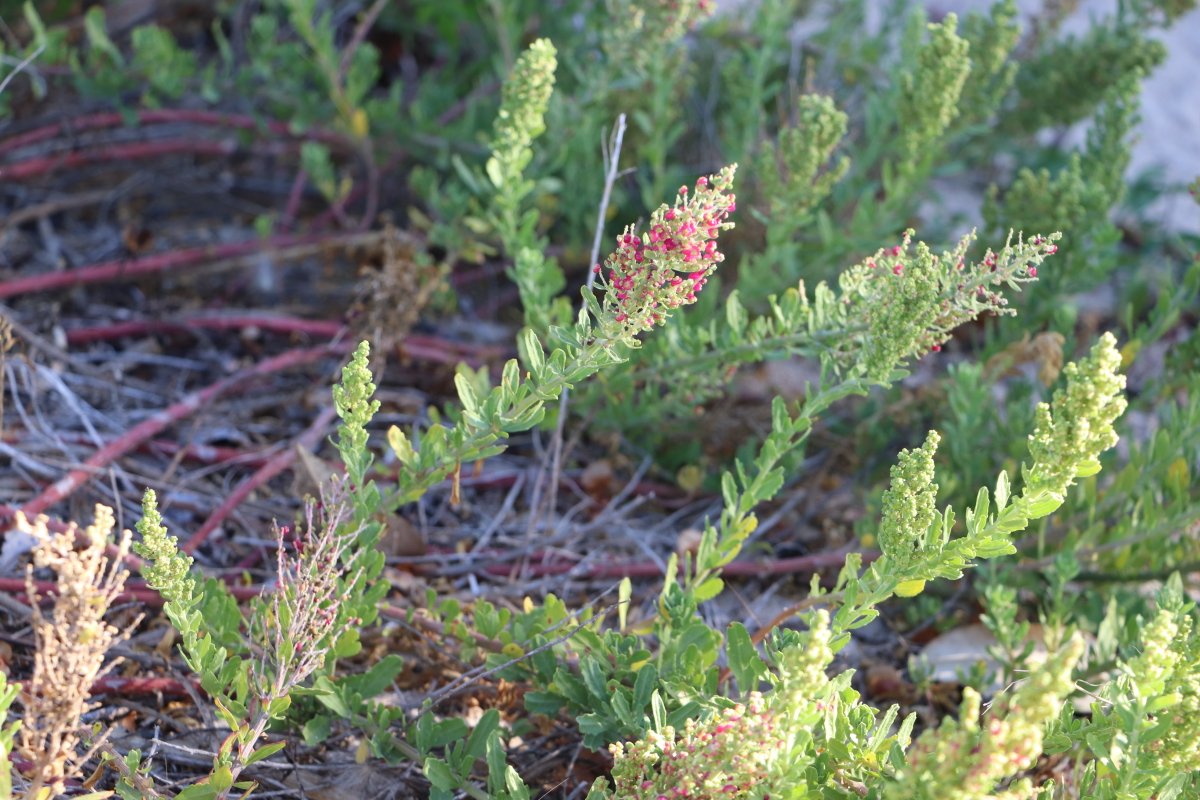 Por màs de nuestro trabajo facebook.com/profile.php?id…