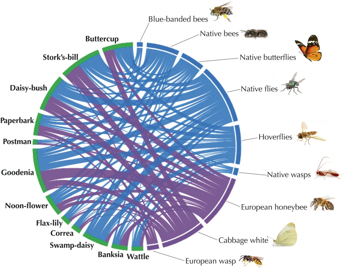 🌱 In this article, Parris et al discuss the value of question-first #CitizenScience in #UrbanEcology and #conservation.🐝 You can find their #openaccess article at doi.org/10.1111/csp2.1…
#science #ecology