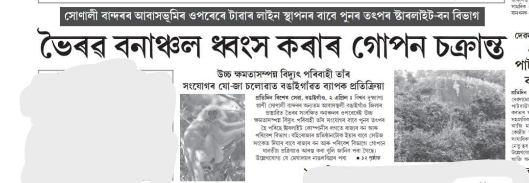 RjPrantik's tweet photo. The Bhairabsura Reserved Forest is under threat due to the installation of a high voltage electric line that poses a significant danger to the habitat of the precious Golden Langur. 

 #SaveBhairabsuraForest #ProtectGoldenLangur #ConservationMatters
@CMOfficeAssam @himantabiswa https://t.co/pn1jeyw8Id