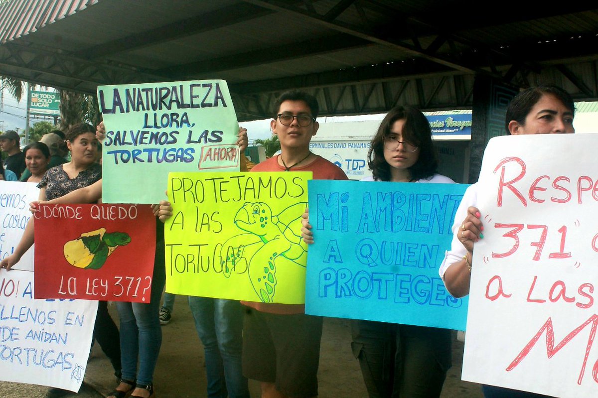sanjosefusave's tweet photo. En  el día  de  hoy  organizaciones  #ambientalistas  y  sociedad  civil salieron en #Santiago  a defender  los  derechos  de  las #tortugas que  se  ven amenazados por la avaricia  del  hombre en #playaMorillo en #Mariato en #Veraguas .Seguirán las acciones de  protestas. https://t.co/AY0BXKnL7P