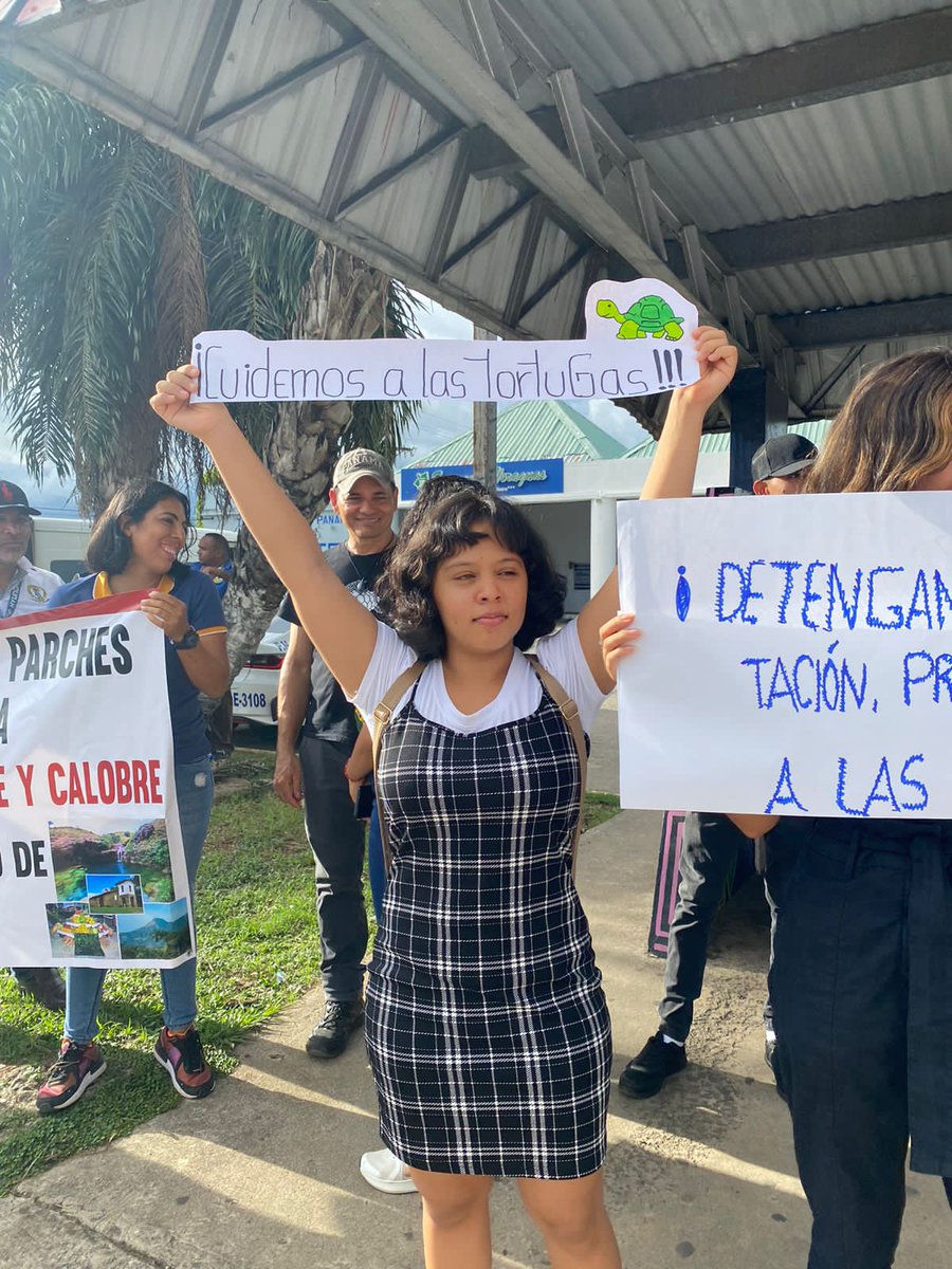 sanjosefusave's tweet photo. En  el día  de  hoy  organizaciones  #ambientalistas  y  sociedad  civil salieron en #Santiago  a defender  los  derechos  de  las #tortugas que  se  ven amenazados por la avaricia  del  hombre en #playaMorillo en #Mariato en #Veraguas .Seguirán las acciones de  protestas. https://t.co/AY0BXKnL7P
