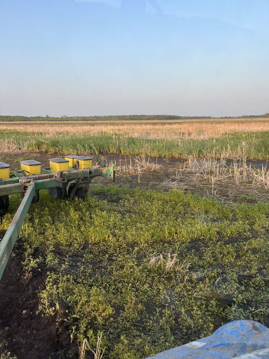 North Dakota farmers be like…”found another 1,000 acres to plant corn.”