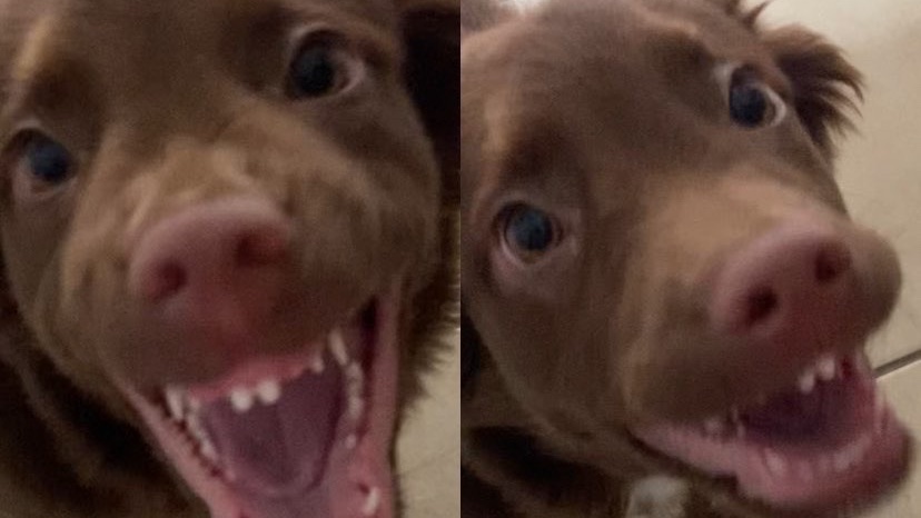 ¡Mira mamá dientes nuevos!!!
