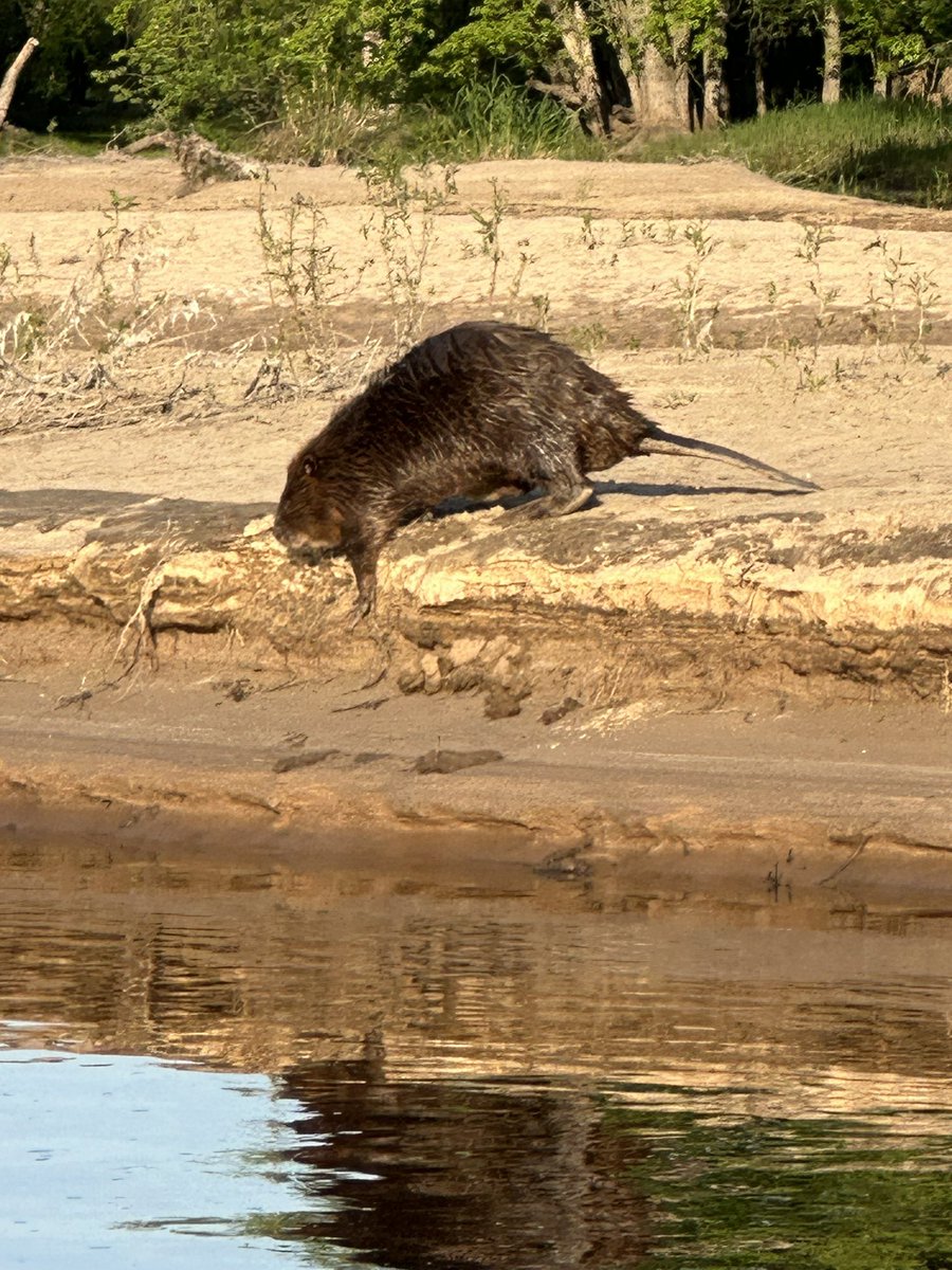 Lucas Harris (@lucash91) on Twitter photo 