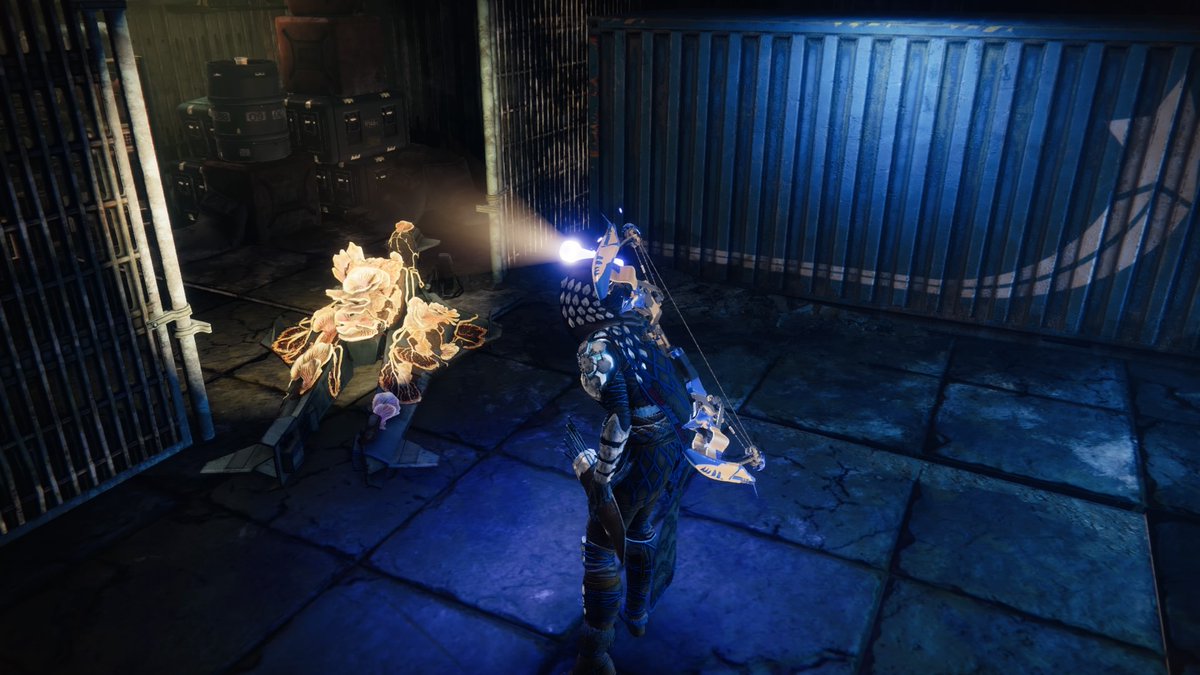 epiii06's tweet photo. En colaboración @destinygamees y a @PlayStation_LA Voy a estar en stream por #twitch haciendo la nueva mazmorra y viendo las nuevas Skins de  #PlayStationGuardians y sorteando emblemas "Scientia Obscura" 

LIVE🔴 a las 20:30 PM MX

🩵 https://t.co/l4KOfxJDGY 🤍

#Destiny2 #stream https://t.co/GKIh4AFSzf