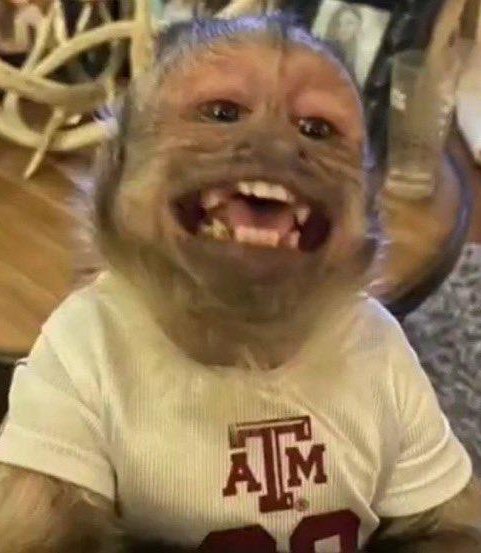 spheresplus's tweet image. Maior sonho é o Coldplay chamar a Joelma pra próxima vinda ao Brasil. Seria lendário!