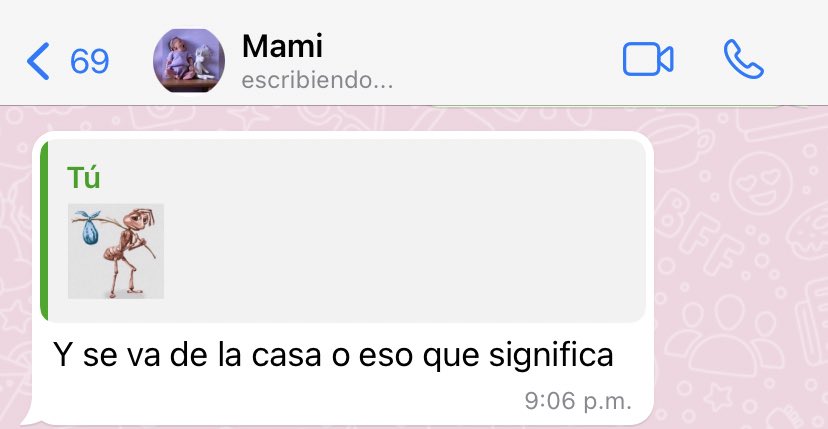 anaisabeeeeeeel's tweet photo. queda una más tranquila https://t.co/Ktn8HQ6cxN