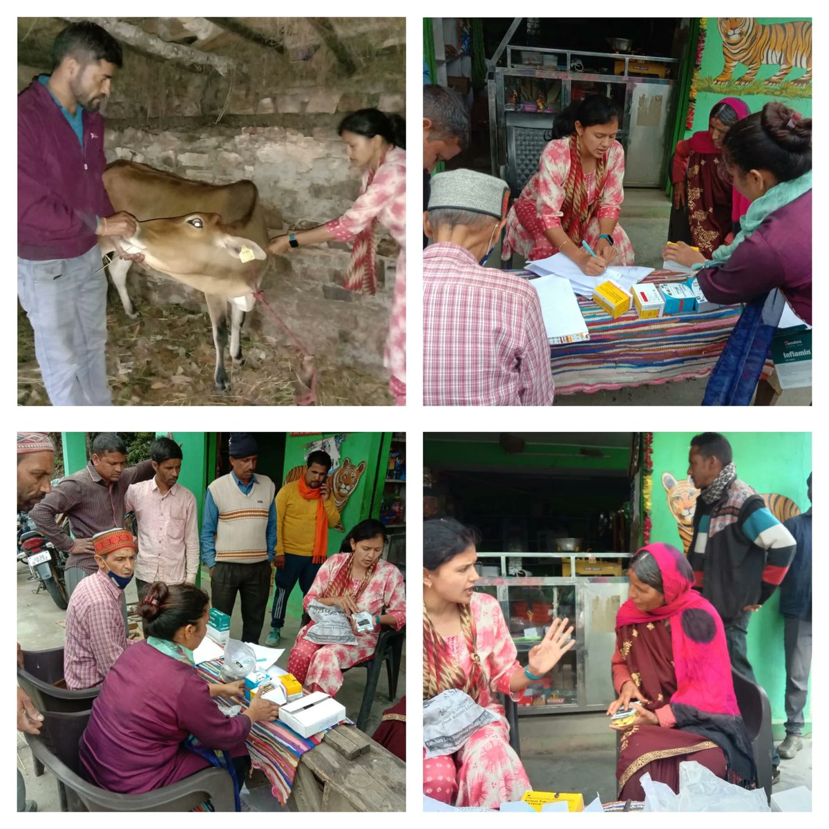 pashudhanUK's tweet photo. District Nainital Mobile Hospital Team.
#PashudhanUK #Uttarakhand #LumpySkinDisease https://t.co/CEWbJWBeKF